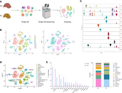 Frontiers Single Cell Rna Sequencing To Dissect The Immunological